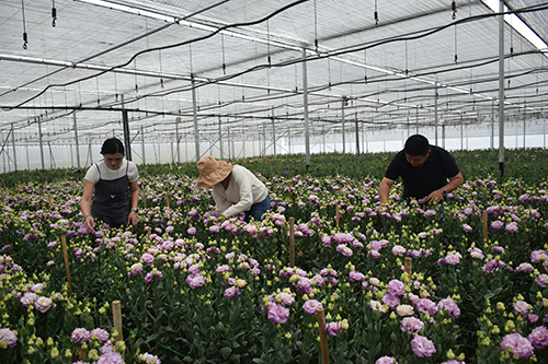 黄龙社区绘就绿色发展新图景.jpg 黄龙社区绘就绿色发展新图景.jpg