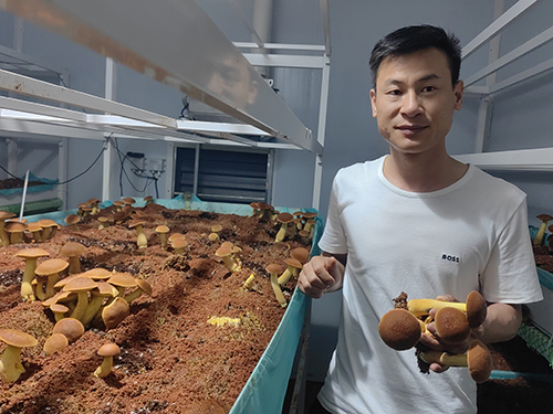 人工见手青实现方舱量产.jpg 人工见手青实现方舱量产.jpg
