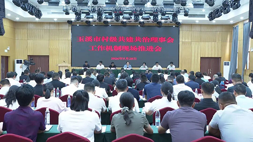 玉溪市村级共建共治理事会工作机制现场推进会在新平举行1.jpg