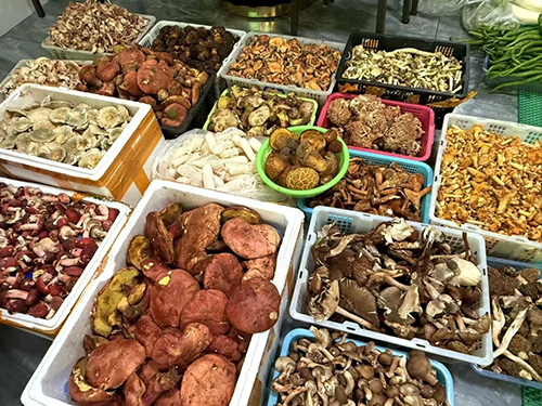 易门：野生菌餐饮市场迎来消费热潮1.jpg