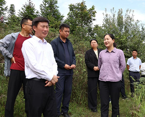 施文在平掌 建兴 漠沙调研时强调:立足资源优势发展特色产业.jpg 施文在平掌 建兴 漠沙调研时强调:立足资源优势发展特色产业.jpg