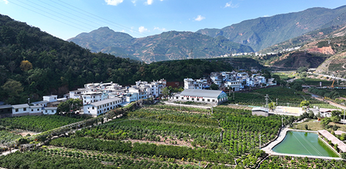 产业兴旺 乡村蝶变 大地丰收 生活富裕.jpg 产业兴旺 乡村蝶变 大地丰收 生活富裕.jpg