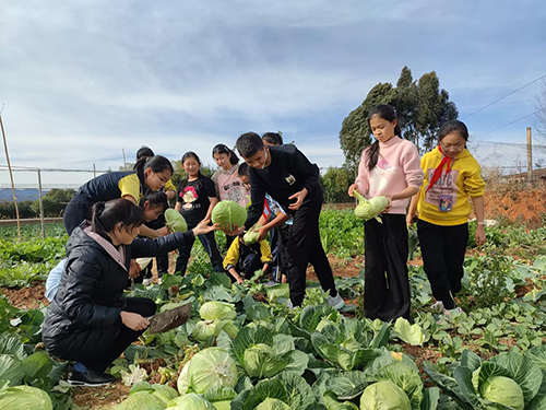 易门县曾所小学“三维”协同构建劳动教育新范式.jpg