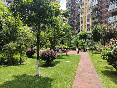 党建领航善治路 城乡共治惠民生3.jpg