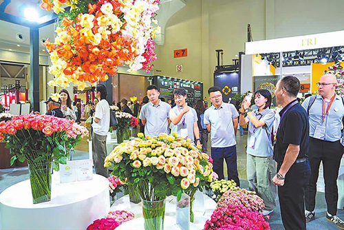 玉溪20余家花卉企业亮相昆明国际花卉展.jpg 玉溪20余家花卉企业亮相昆明国际花卉展.jpg