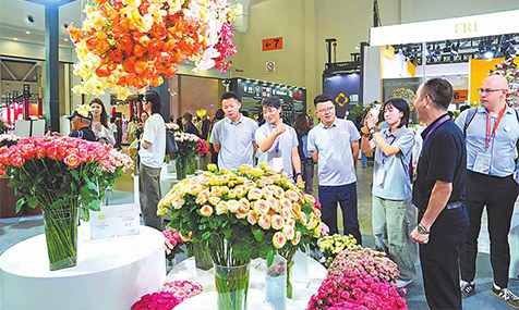 玉溪20余家花卉企业亮相昆明国际花卉展