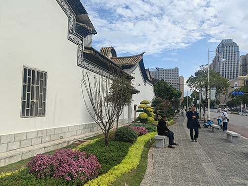 街角焕新 老城添绿.jpg