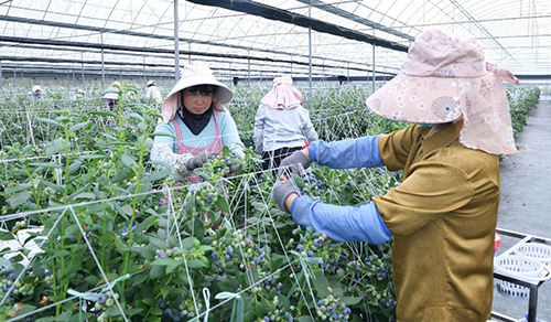 微信图片_2026-10-23_162934_001.jpg